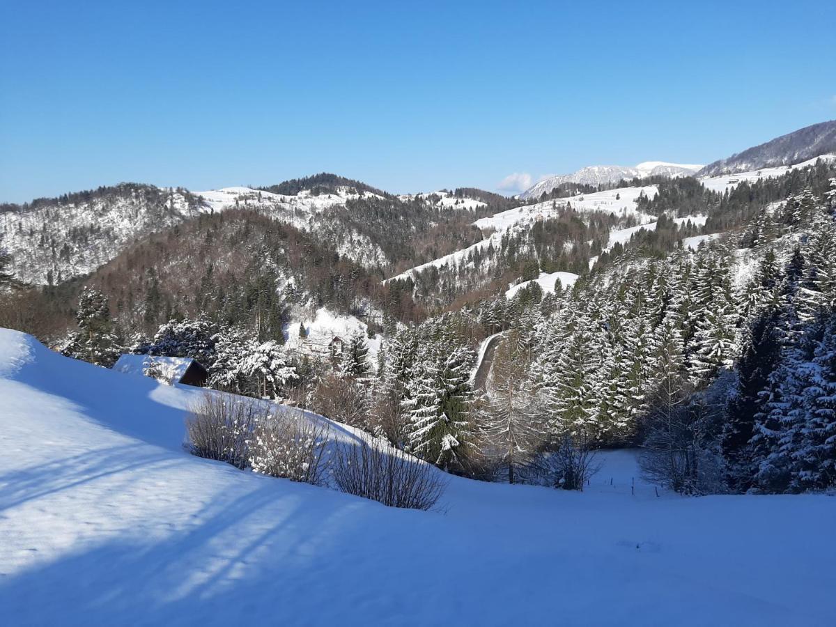 Apartma Teloh Kopacnica 외부 사진